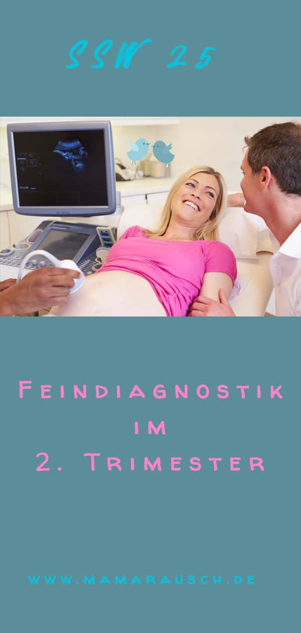 Im 2. Trimester der Schwangerschaft steht der große Ultraschall an. Was wird beim Organultraschall alles angeshe? Was passiert bei der Feindiagnostik? Aber die wichtigste Frage ist mein Baby gesund? Und die zweit wichtigste Frage, welches Geschlecht hat mein Baby?