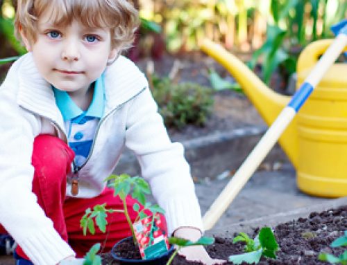 Kinder im Garten beschäftigen