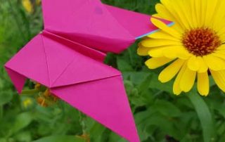 Origami Schmetterlinge falten mit Kindern