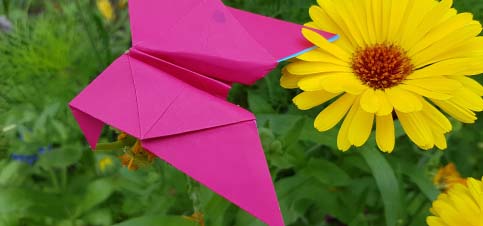 Origami Schmetterlinge falten mit Kindern