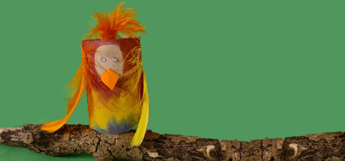 Papagei aus Klopapierrollen basteln mit kindern